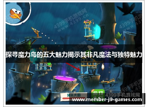 探寻魔力鸟的五大魅力揭示其非凡魔法与独特魅力