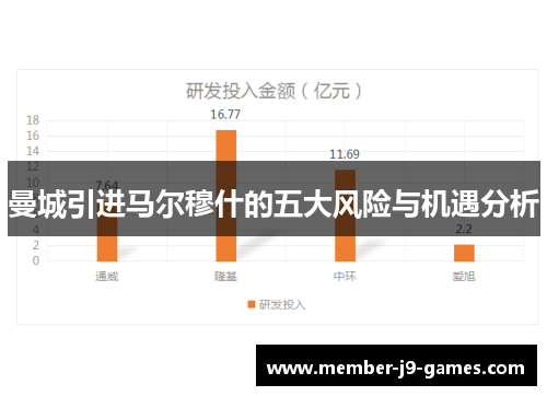 曼城引进马尔穆什的五大风险与机遇分析